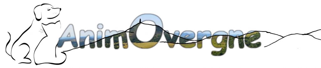 Accueil - AnimOvergne
